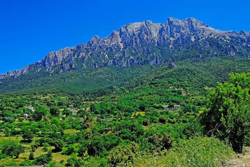 S'Enis Monte Maccione Hotel Oliena Luaran gambar