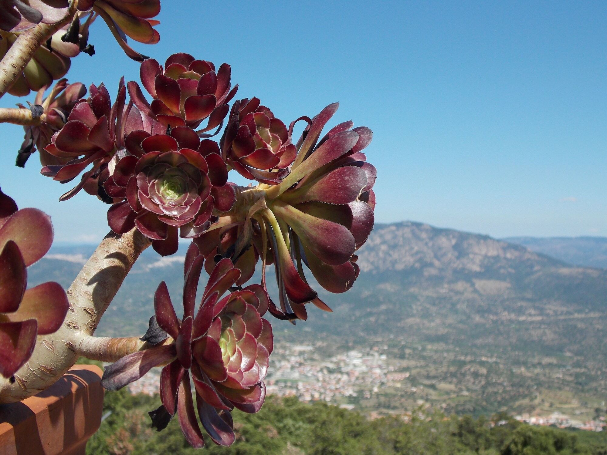 S'Enis Monte Maccione Hotel Oliena Luaran gambar